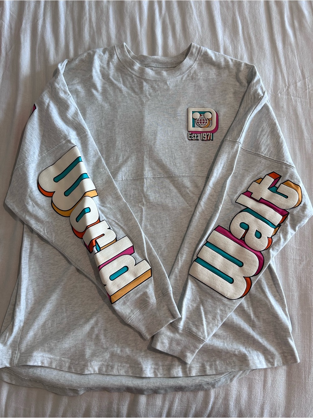Disney World Spirit Jersey - L
